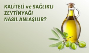 Kaliteli ve Sağlıklı Zeytinyağı Nasıl Anlaşılır